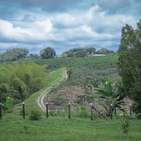 Finca Hotel Heron 킴바야 외부 사진
